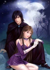 （综同人）[红楼+清穿]榜下捉婿